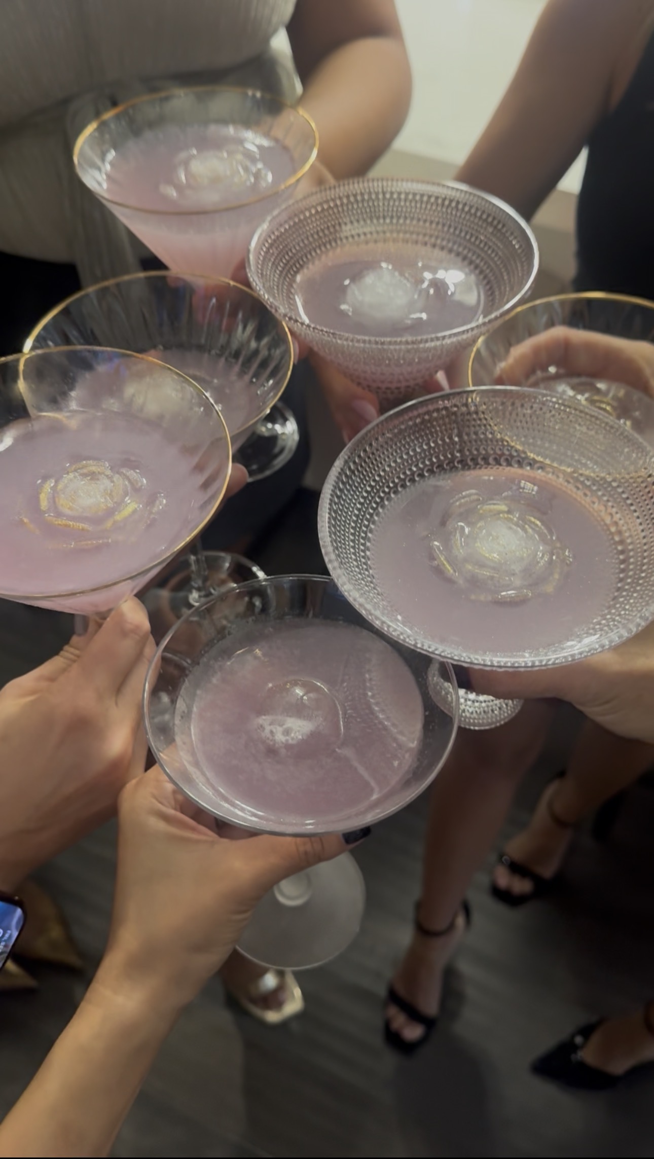 The Book Fetish Momma raising a toast with their pale pink lychee martinis